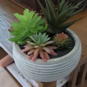 Vibrant Succulent Trio in Textured Planter